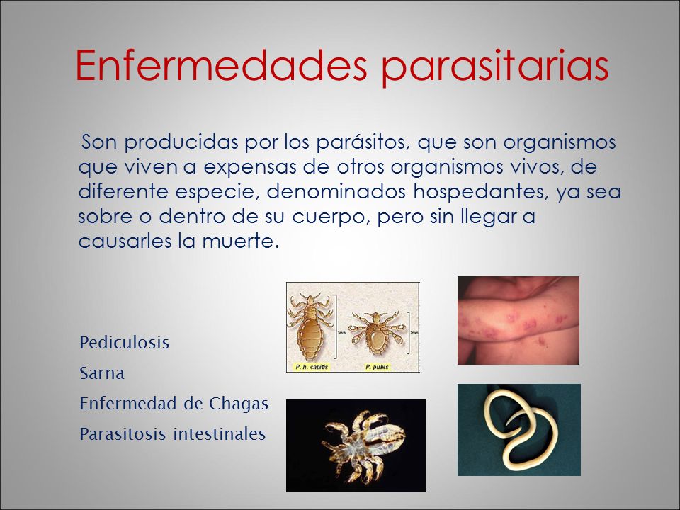 ¿Son contagiosas las infecciones parasitarias?